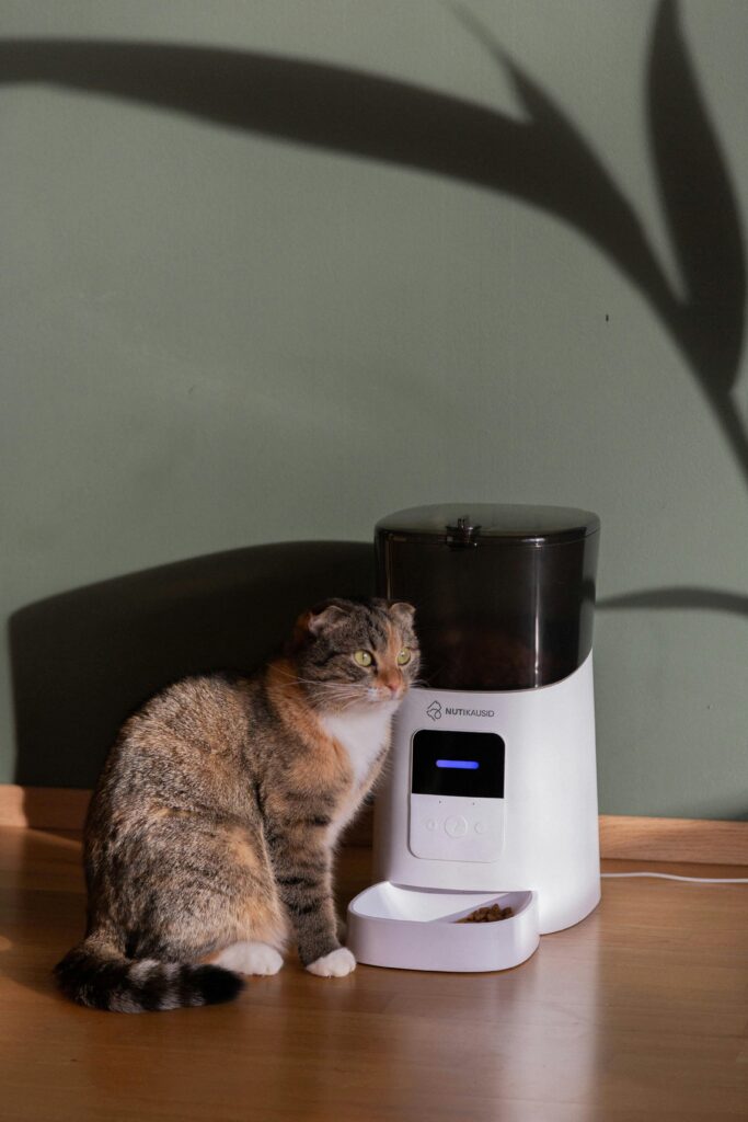 Best cat gadgets 2026: Petlibro smart automatic cat feeder with camera